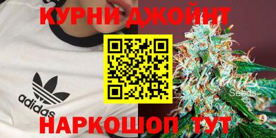 прущие грибы Свободный