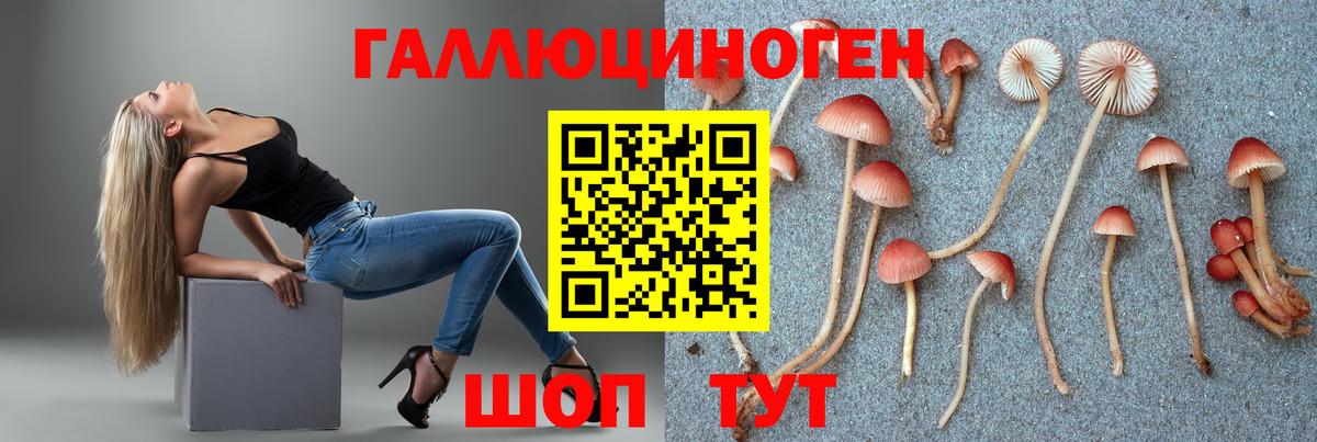 Галлюциногенные грибы Саяногорск